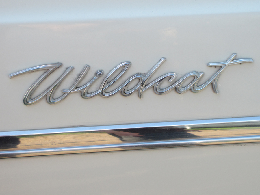 Wildcat emblem