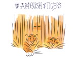 New Artwork - Ian Rogers - an Ambush of Tigers