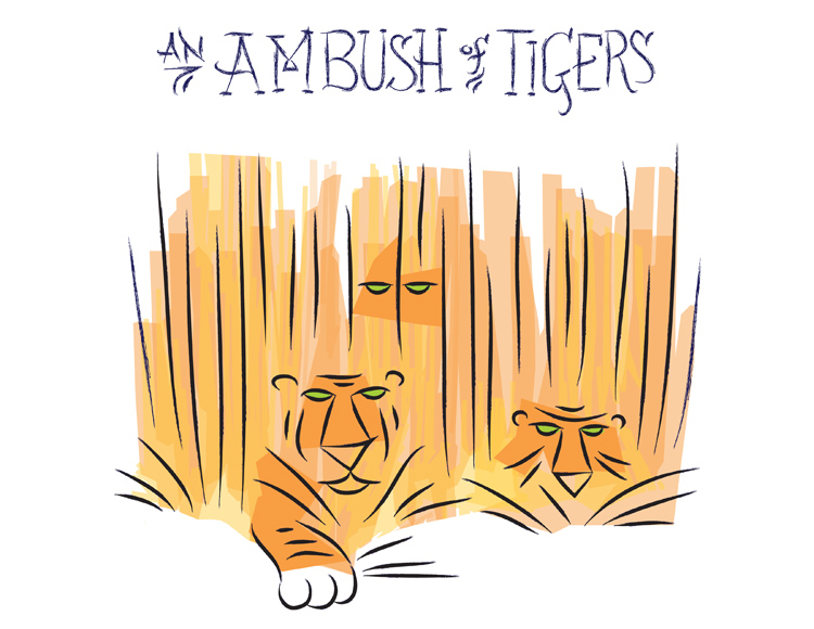 Ian Rogers - An Ambush of Tigers