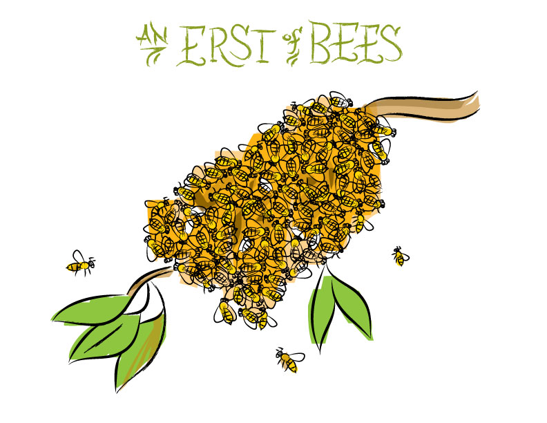 Ian Rogers - an Erst of Bees