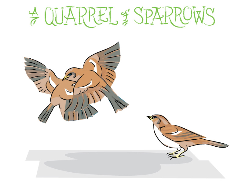 Ian Rogers - a Quarrel of Sparrows