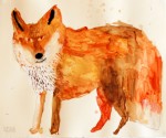 Miroco Machiko - fox