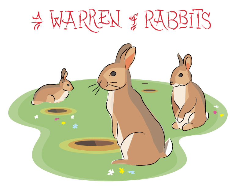 Ian Rogers - a Warren of Rabbits