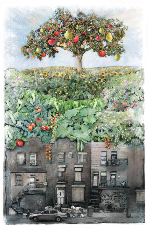 Ian Rogers - Rooftop Gardening