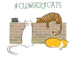 New Artwork - Ian Rogers - a Clowder of Cats