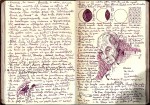 Guillermo del Toro Sketchbooks