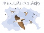 New Artwork – Ian Rogers – an Exultation of Larks