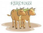 New Artwork – Ian Rogers – a Yoke of Oxen